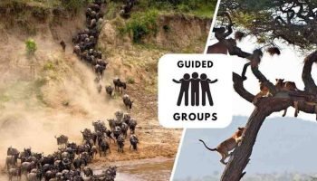 East-Africa-Migration-Discoverer-900x660